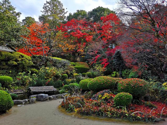 詩仙堂紅葉