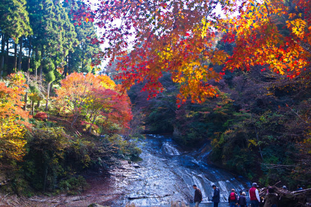 房総の名瀑 粟又の滝