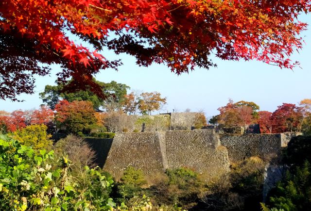 城址の紅葉