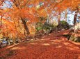 松島 双観山