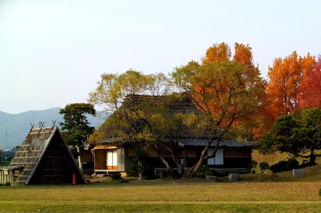 秋の夕暮れ