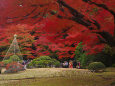 小石川後楽園の紅葉