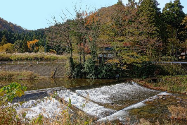 晩秋の竹田川