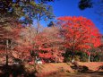 松島 扇谷山