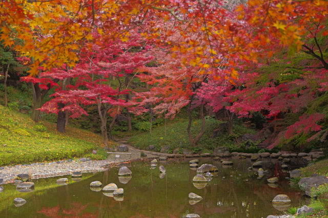 小石川後楽園の紅葉