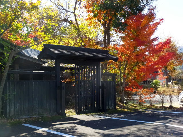 温泉の紅葉