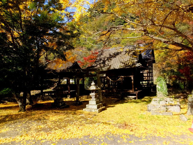 紅葉散る山間部の神社