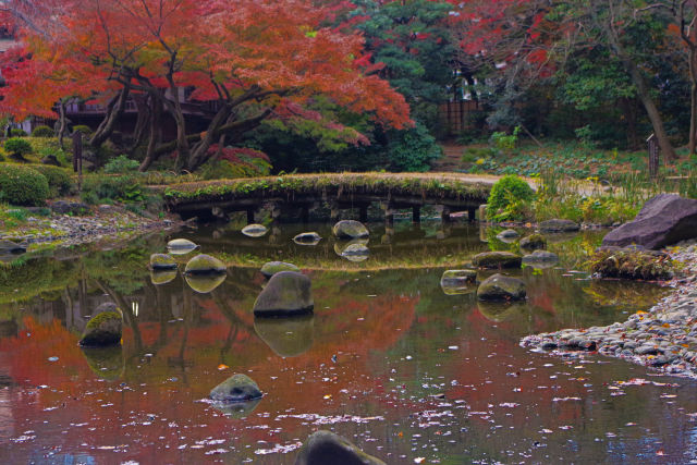 小石川後楽園 大堰川と紅葉