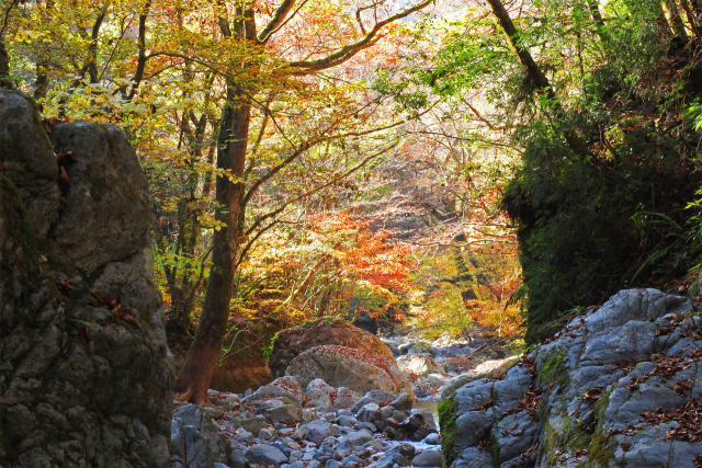 渓流の紅葉 音水渓谷3