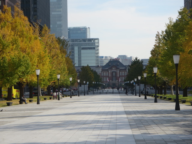 遠くから東京駅を見る