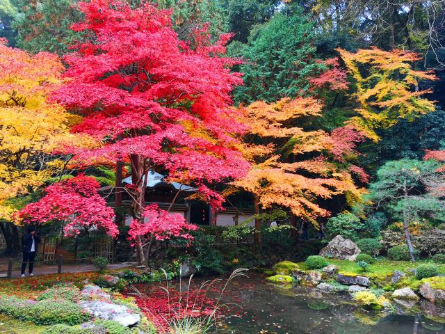 南禅寺紅葉