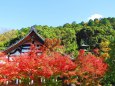 晩秋の京都永観堂