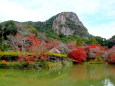 秋の三船山楽園