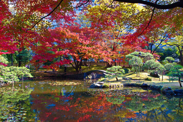 小石川後楽園 内庭の紅葉