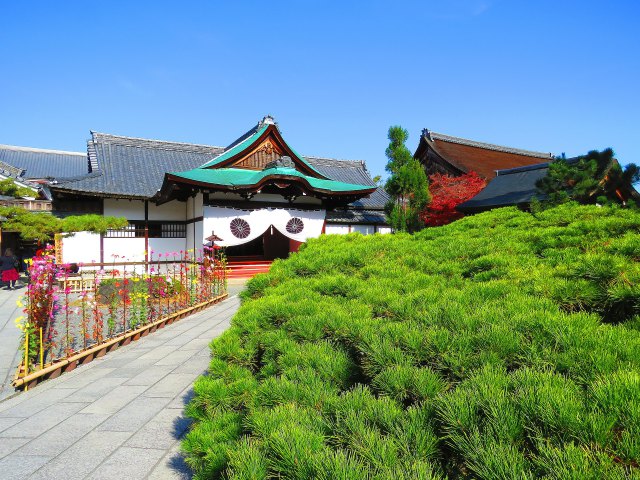 晩秋の嵯峨野大覚寺本坊