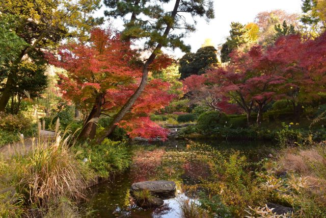 甘泉園公園