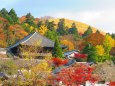 晩秋の奈良東大寺二月堂