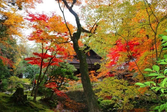 南禅寺紅葉