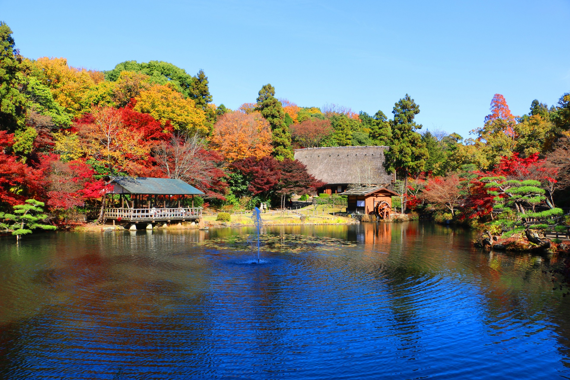 日本の風景 東山動植物園紅葉 壁紙19x1280 壁紙館