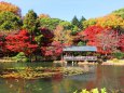 東山動植物園紅葉