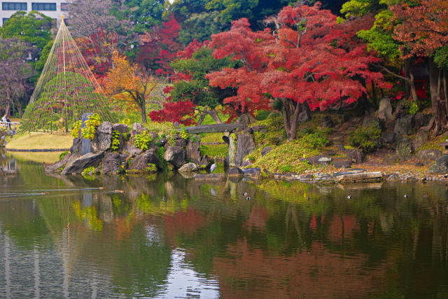 蓬莱島と紅葉