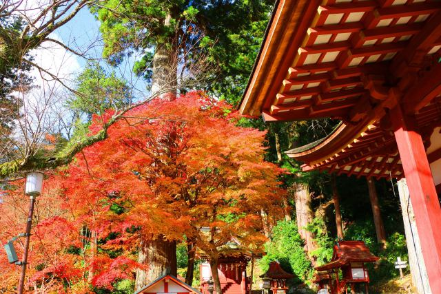 談山神社紅葉