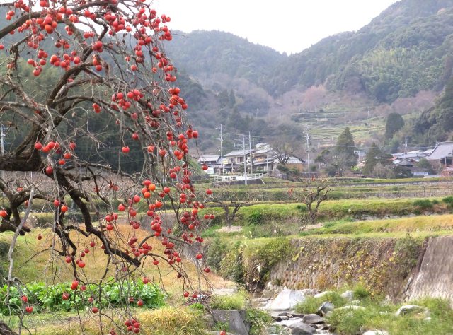 年末の山里風景