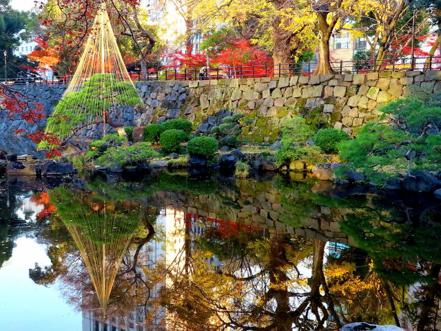 日比谷公園の雪吊りと紅葉