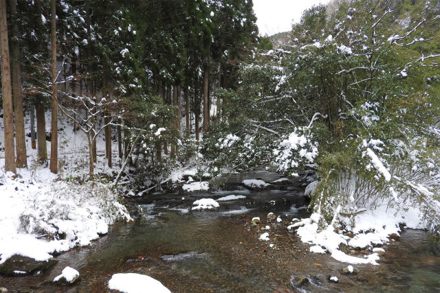 渓流 雪化粧