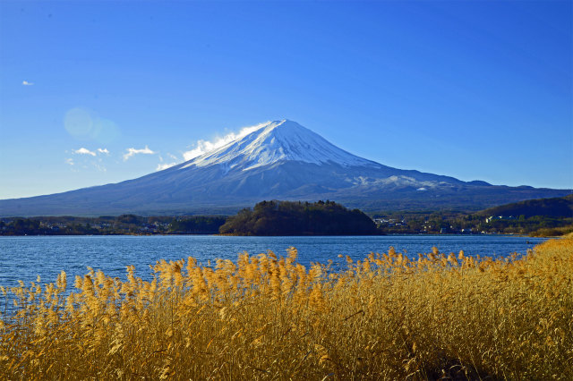 河口湖大石公園からの富士山