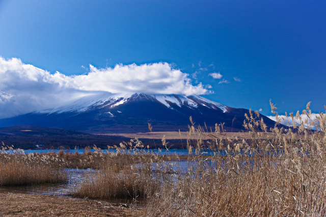 山中湖からの富士山