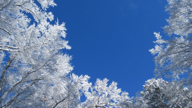 冬の青空