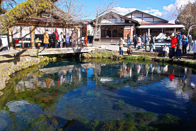 忍野八海 涌池