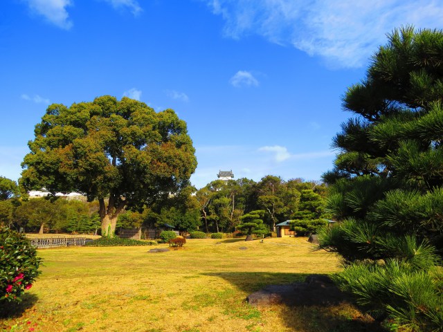 冬の明石城公園