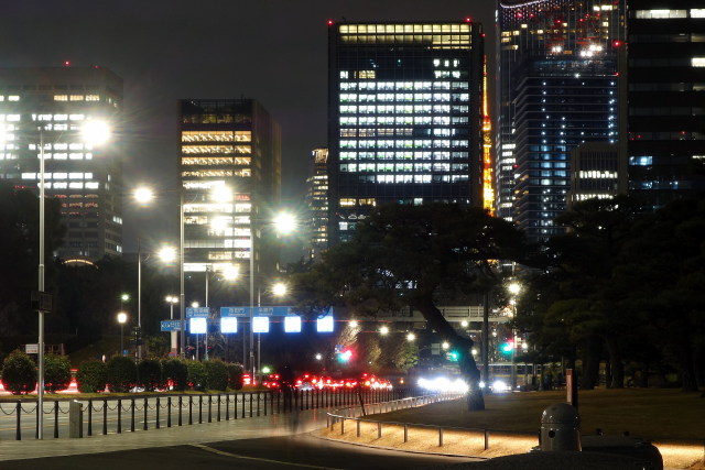 皇居前広場から東京タワーを望む