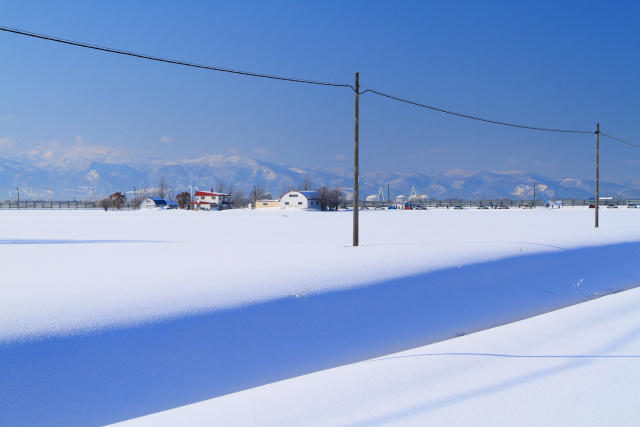 ブルートーンの朝～石狩平野