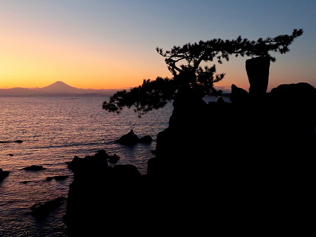 千貫松と富士山