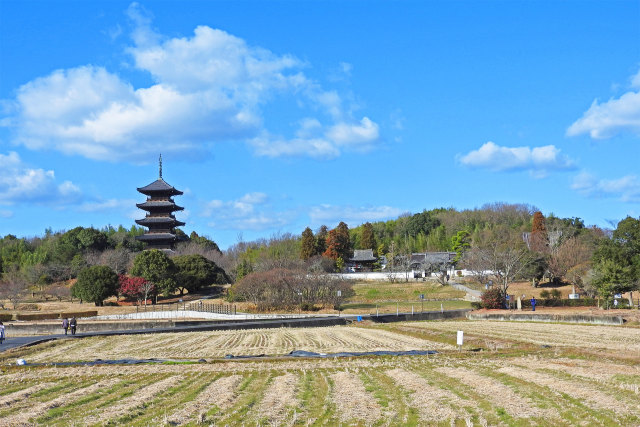 吉備路 備中国分寺3