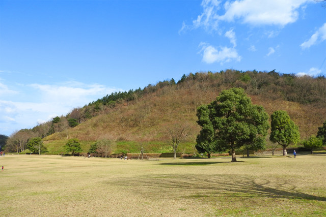 公園 冬日和