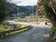 山茶花が散る田舎道