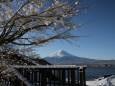 雪景色