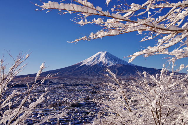 冬景色