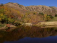 鏡池山荘の池