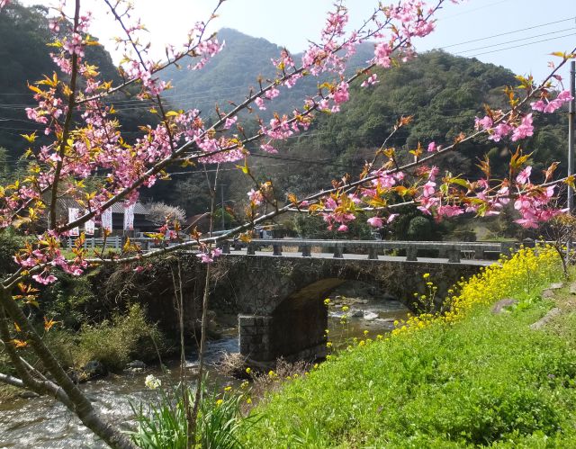 桜の花と眼鏡橋