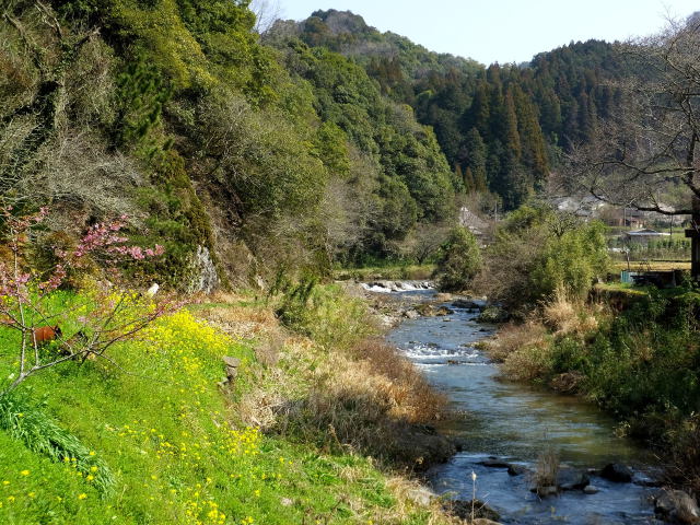 春の小川