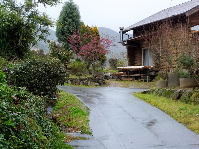 春の小雨