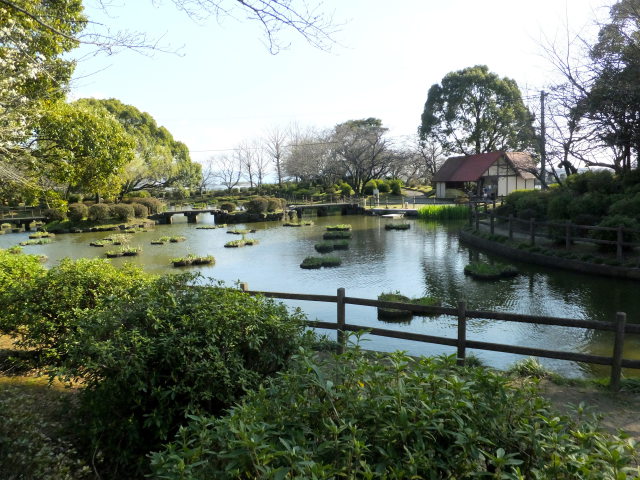 いちだんと春めいて来た公園