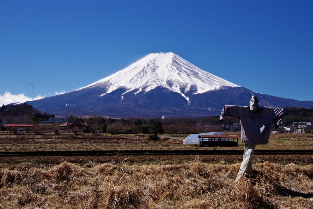 案山子と富士山