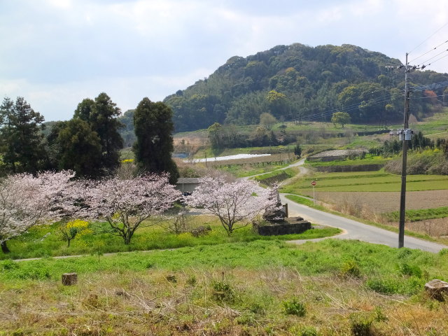 田舎の春景色