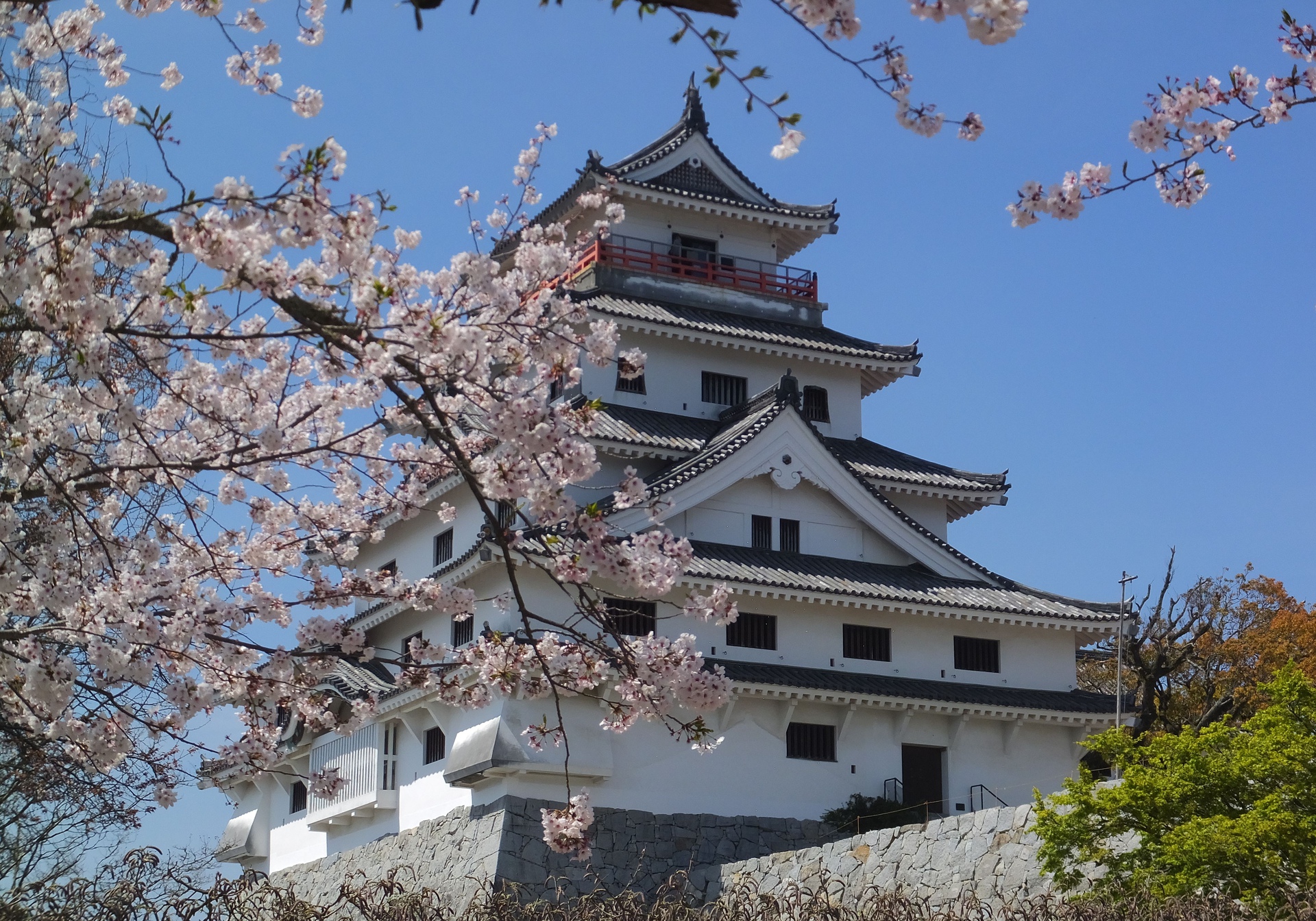 日本の風景 桜の唐津城 壁紙19x1344 壁紙館